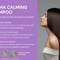 AYUNCHE Derma Calming Shampoo - MY Little Corée
