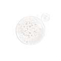 THE ORDINARY Alpha Arbutin 2% HA